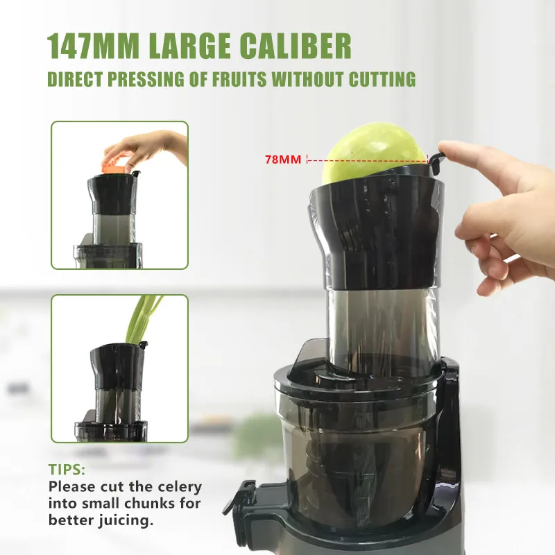 FirmHome StoreIslow Orangen-Zi – Juicer Cold Press Slow Bewertung und Preis