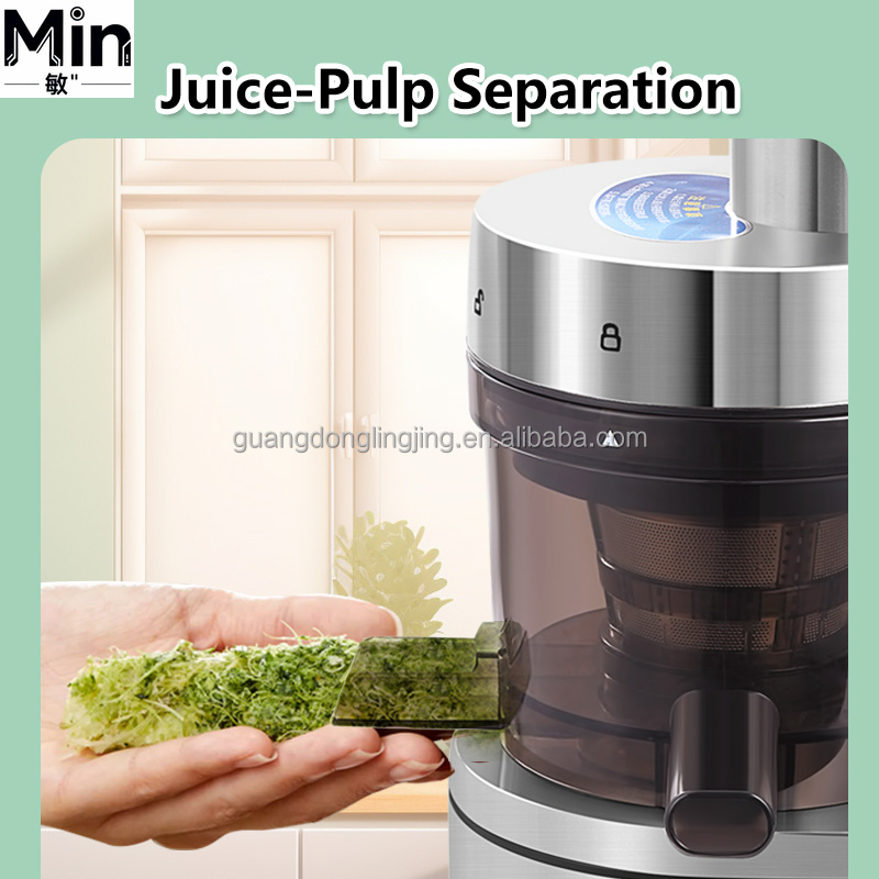 Günstiger Preis 1000W Kommerzi – Juicer Cold Press Slow Bewertung und Preis